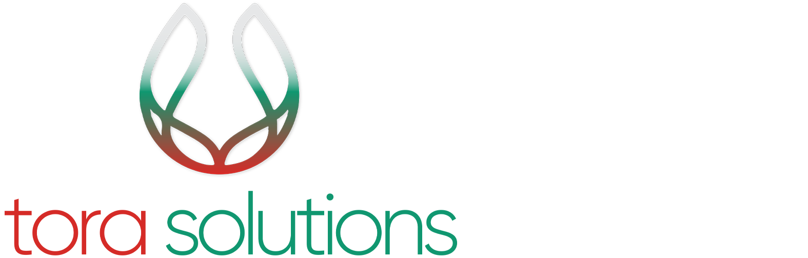 Tora Solutions